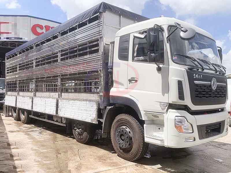 Xe Chở Gia Súc Dongfeng 4 Chân 4